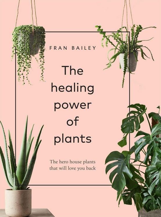 Produktbild: The Healing Power of Plants