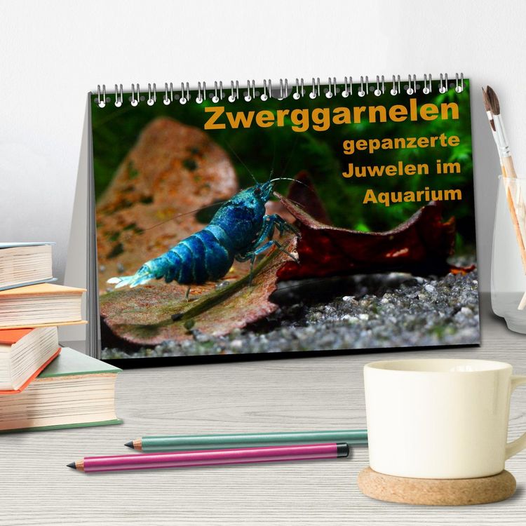 Produktbild: Zwerggarnelen - gepanzerte Juwelen im Aquarium (Tischkalender 2026 DIN A5 quer), CALVENDO Monatskalender