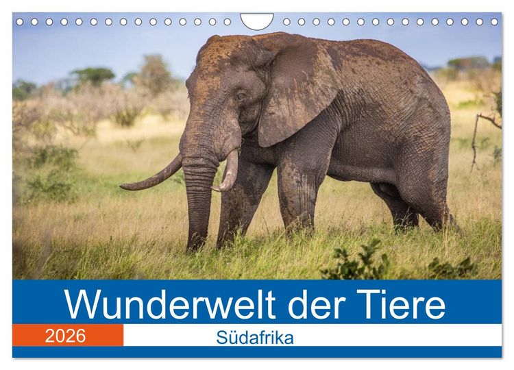 Produktbild: Wunderwelt der Tiere - S&uuml;dafrika (Wandkalender 2026 DIN A4 quer), CALVENDO Monatskalender