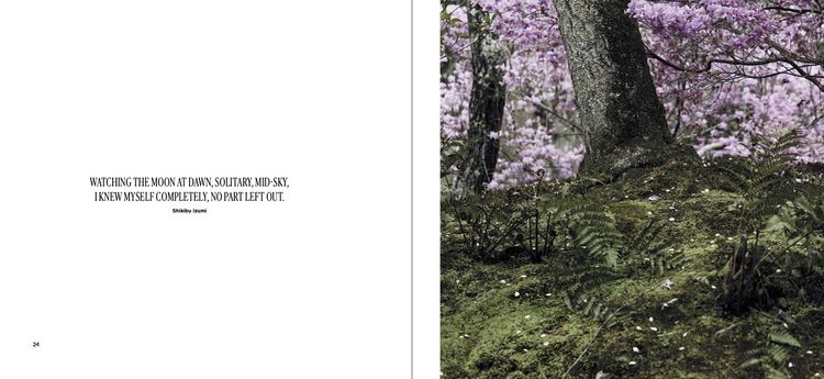 Produktbild: The Magic of Japanese Zen Gardens