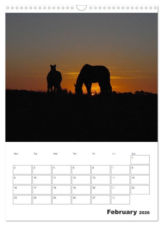 Produktbild: Shire Horses The Gentle Giants (Wall Calendar 2026 DIN A3 portrait), CALVENDO 12 Month Wall Calendar