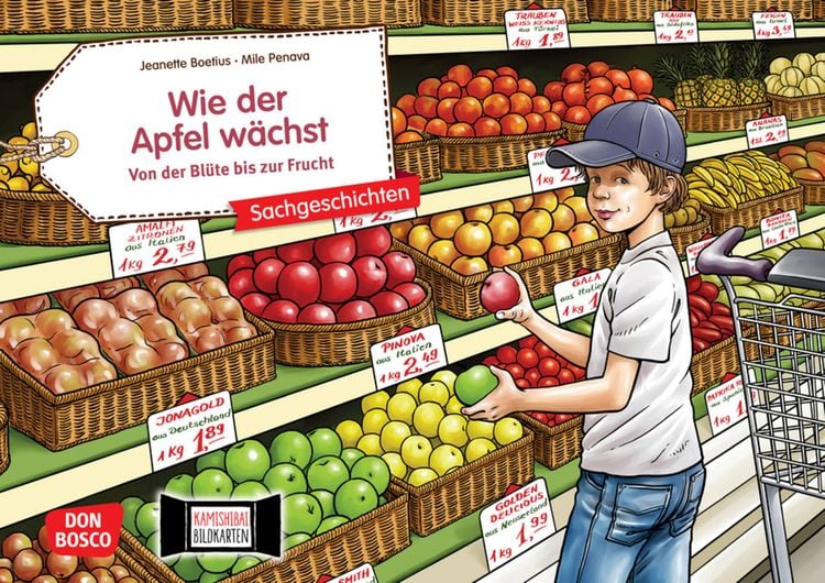 Produktbild: Wie der Apfel w&auml;chst. Von der Bl&uuml;te bis zur Frucht. Kamishibai Bildkartenset