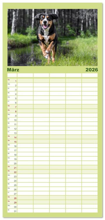 Produktbild: Familienplaner 2026 - Entlebucher - Temperamentvolle Schweizer Sennenhunde mit 5 Spalten (Wandkalender, 21 x 45 cm) CALVENDO