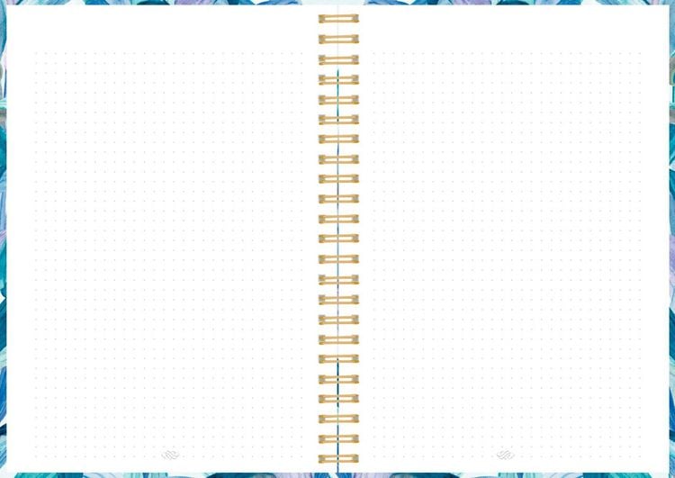 Produktbild: Ringbuch DIN A4
