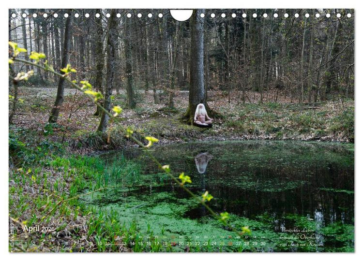 Produktbild: HAIKU AM TEICH (Wandkalender 2026 DIN A4 quer), CALVENDO Monatskalender