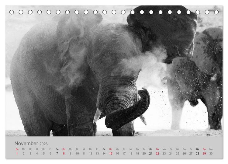 Produktbild: Die Seelen der wilden Tiere (Tischkalender 2026 DIN A5 quer), CALVENDO Monatskalender