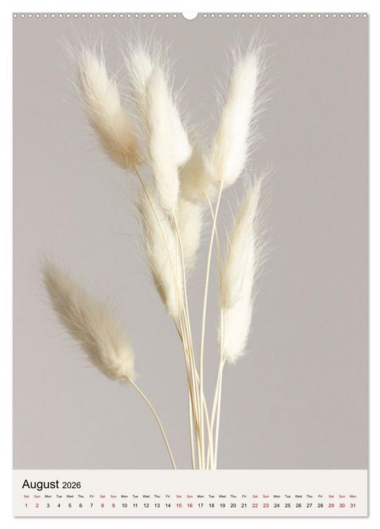 Produktbild: Dried Flowers (Wall Calendar 2026 DIN A2 portrait), CALVENDO 12 Month Wall Calendar