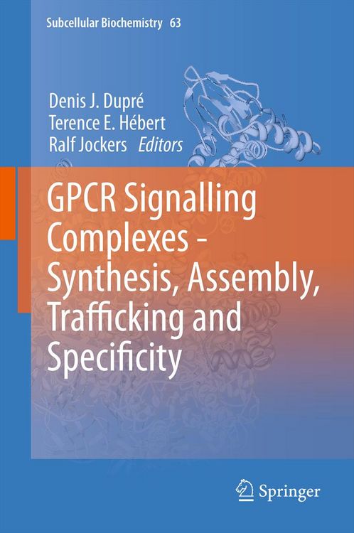 Produktbild: GPCR Signalling Complexes &ndash; Synthesis, Assembly, Trafficking and Specificity