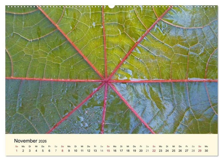 Produktbild: Kraftquelle Gr&uuml;n (hochwertiger Premium Wandkalender 2026 DIN A2 quer), Kunstdruck in Hochglanz