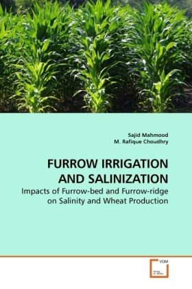 Produktbild: Mahmood, S: Furrow Irrigation and Salinization