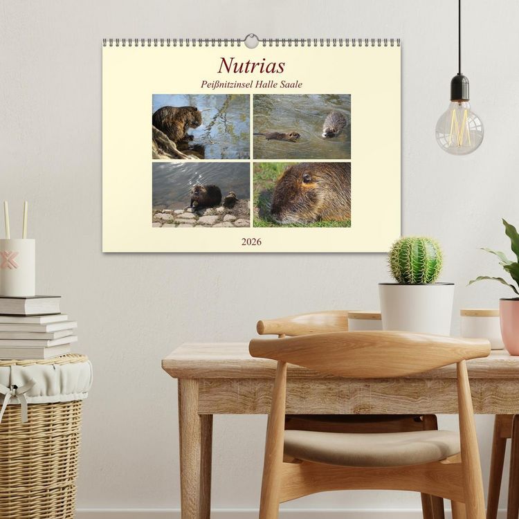 Produktbild: Nutrias Pei&szlig;nitzinsel Halle Saale (Wandkalender 2026 DIN A3 quer), CALVENDO Monatskalender
