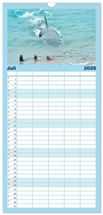 Produktbild: Familienplaner 2026 - Orcas: Schwarz-wei&szlig;e Giganten mit 5 Spalten (Wandkalender, 21 x 45 cm) CALVENDO
