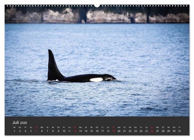 Produktbild: Alaska 2026 - faszinierend anders (Wandkalender 2026 DIN A2 quer), CALVENDO Monatskalender