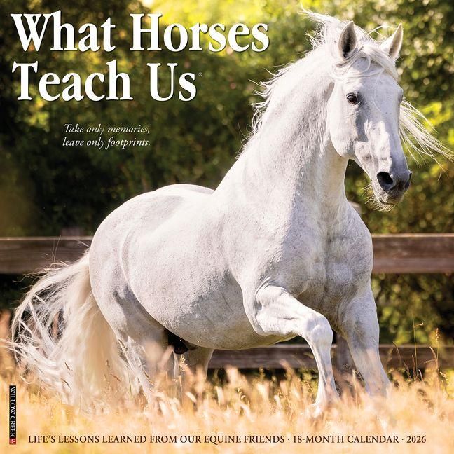 Produktbild: What Horses Teach Us 2026 Wall Calendar