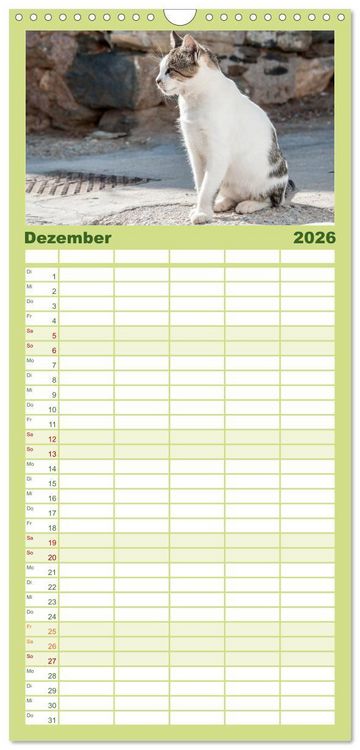 Produktbild: Familienplaner 2026 - Griechische Katzen mit 5 Spalten (Wandkalender, 21 x 45 cm) CALVENDO