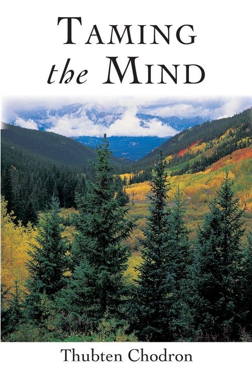 Produktbild: Taming the Mind