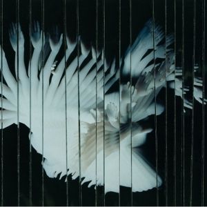 Produktbild: Endlessly