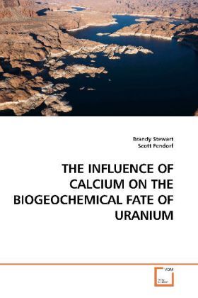 Produktbild: Stewart, B: THE INFLUENCE OF CALCIUM ON THE BIOGEOCHEMICAL F