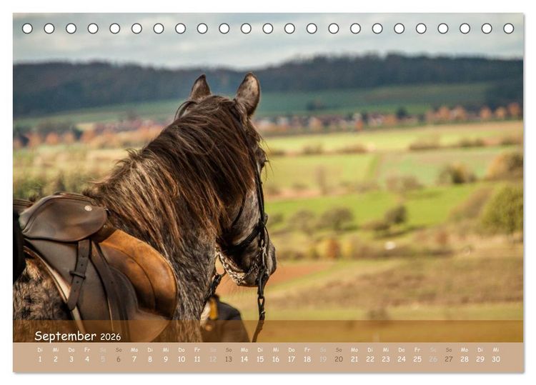Produktbild: Mit Pferden durch&acute;s Jahr (Tischkalender 2026 DIN A5 quer), CALVENDO Monatskalender