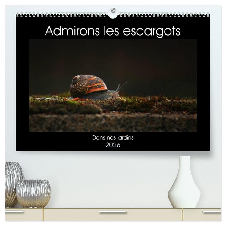 Produktbild: Admirons les escargots (Calendrier mural 2026 DIN A2 vertical) calendrier de bureau