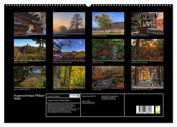 Produktbild: Augenschmaus Pf&auml;lzer Wald (hochwertiger Premium Wandkalender 2026 DIN A2 quer), Kunstdruck in Hochglanz
