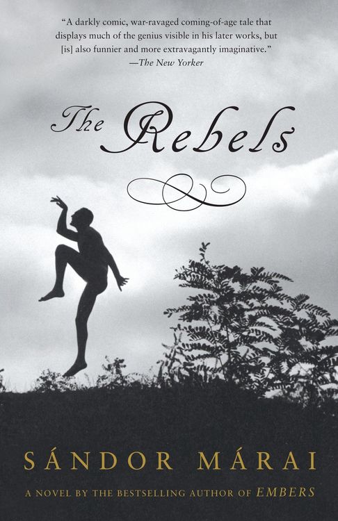 Produktbild: The Rebels