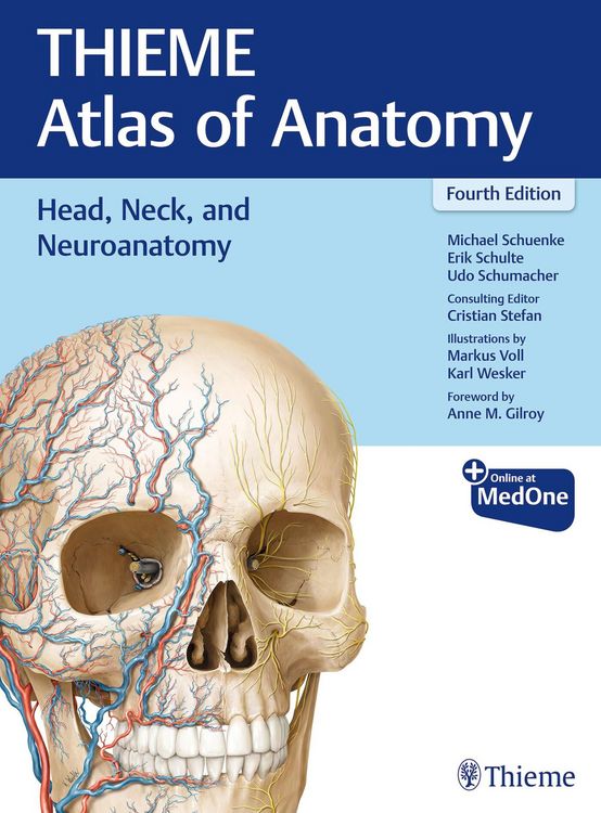 Produktbild: Head, Neck, and Neuroanatomy (THIEME Atlas of Anatomy)