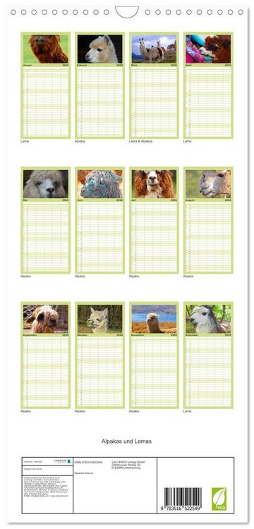 Produktbild: Familienplaner 2026 - Alpakas und Lamas mit 5 Spalten (Wandkalender, 21 x 45 cm) CALVENDO