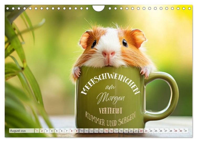 Produktbild: Meerschweinchen LUSTIG DURCHS JAHR (Wandkalender 2026 DIN A4 quer), CALVENDO Monatskalender