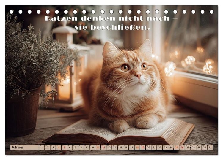 Produktbild: Miau-velous Pfotenpoesie (Tischkalender 2026 DIN A5 quer), CALVENDO Monatskalender