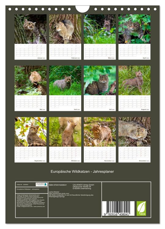 Produktbild: Europ&auml;ische Wildkatzen - Jahresplaner (Wandkalender 2026 DIN A4 hoch), CALVENDO Monatskalender