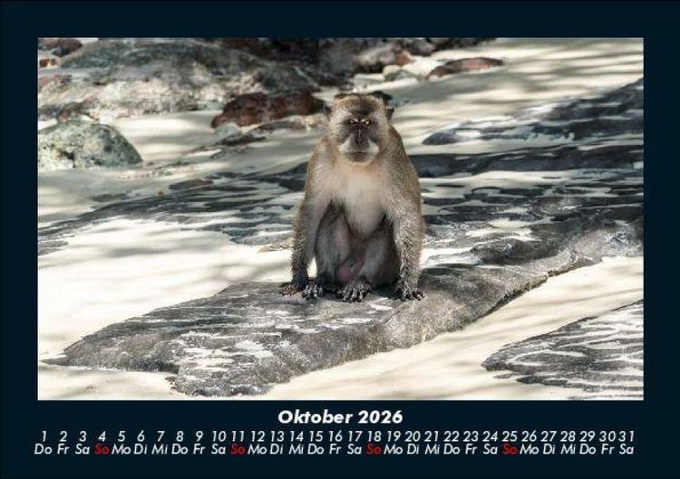 Produktbild: Zoobewohner 2026 Fotokalender DIN A5