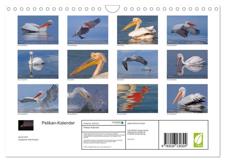 Produktbild: Pelikan-Kalender (Wandkalender 2026 DIN A4 quer), CALVENDO Monatskalender