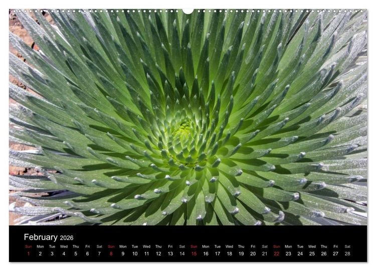 Produktbild: Paradise on Earth HAWAII (High Quality Premium Wall Calendar 2026 DIN A2 landscape),CALVENDO 12 Month Wall Calendar
