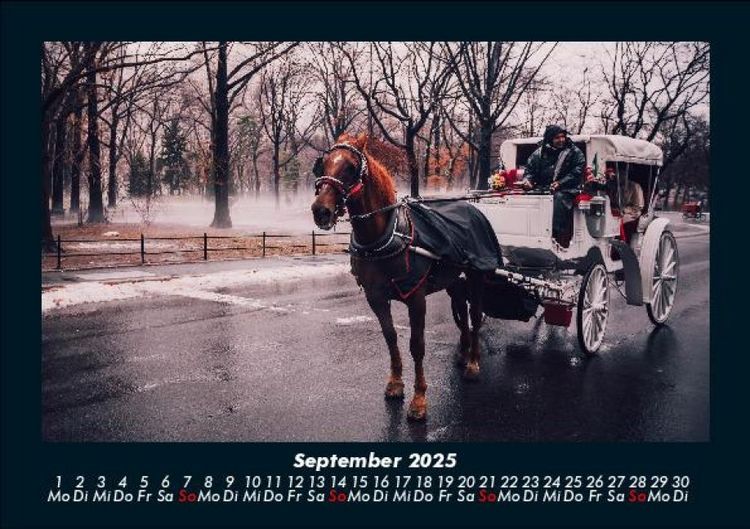 Produktbild: Pferde Kalender 2025 Fotokalender DIN A5