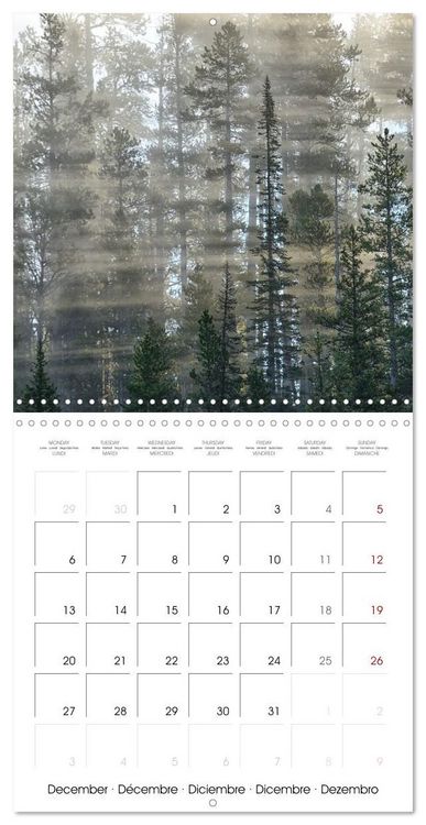 Produktbild: Yellowstone National Park (Wall Calendar 2027 12 &times; 12 Inch) CALVENDO 12 Month Wall Calendar