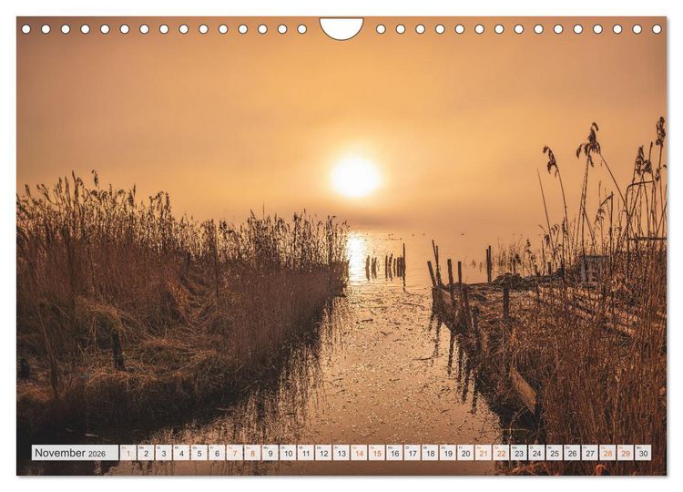 Produktbild: R&uuml;genliebe 2026 (Wandkalender 2026 DIN A4 quer), CALVENDO Monatskalender
