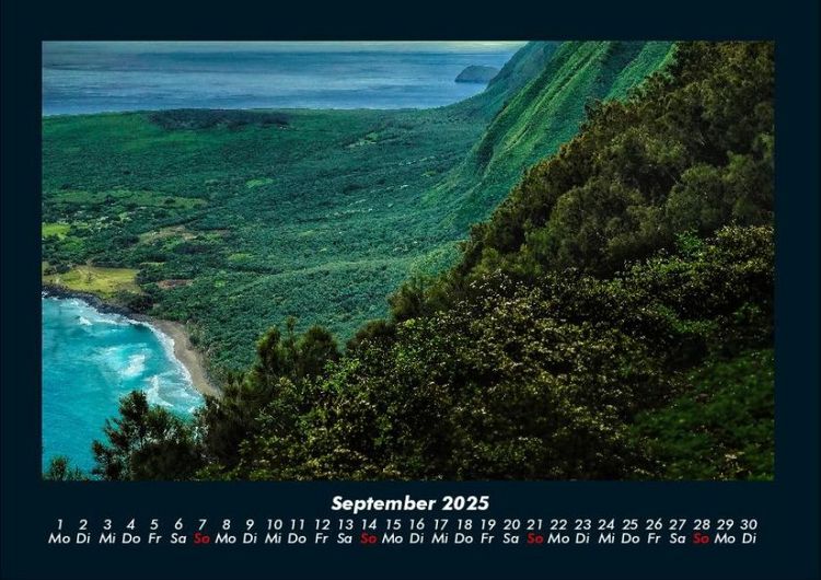 Produktbild: Blumen & Pflanzen 2025 Fotokalender DIN A4