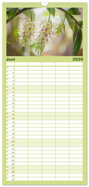 Produktbild: Familienplaner 2026 - Im Schatten der Orchidee mit 5 Spalten (Wandkalender, 21 x 45 cm) CALVENDO