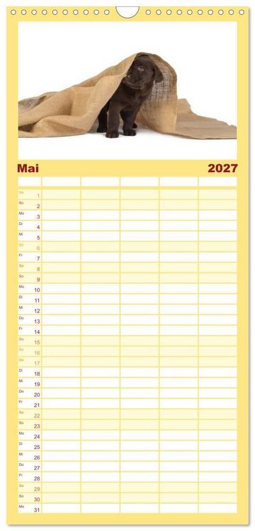 Produktbild: Familienplaner 2027 - Labrador - Welpen mit 5 Spalten (Wandkalender, 21 x 45 cm) CALVENDO