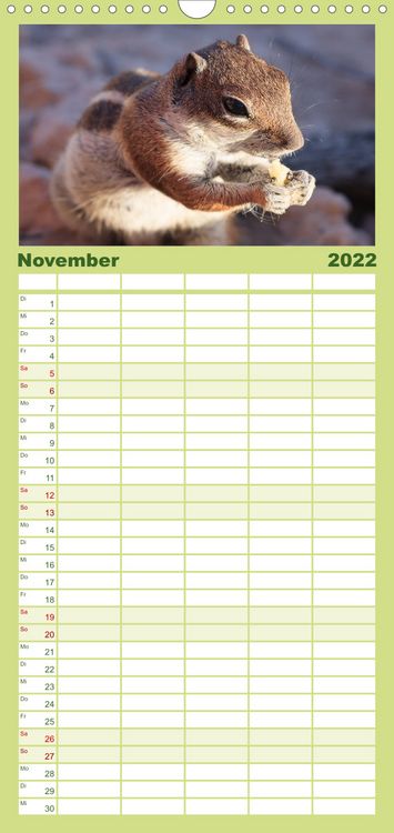 Produktbild: Atlash&ouml;rnchen - Familienplaner hoch (Wandkalender 2022 , 21 cm x 45 cm, hoch)