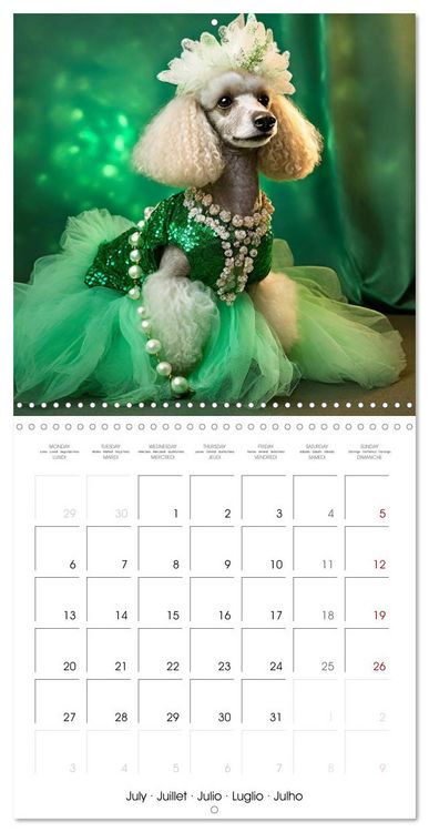 Produktbild: Grand Divas of the Dog World (Wall Calendar 2026 12 &times; 12 Inch) CALVENDO 12 Month Wall Calendar