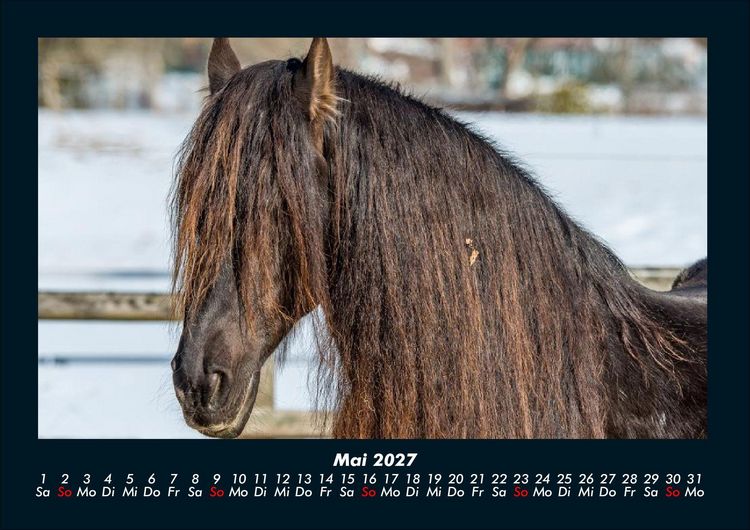 Produktbild: Pferdegefl&uuml;ster 2027 Fotokalender DIN A4