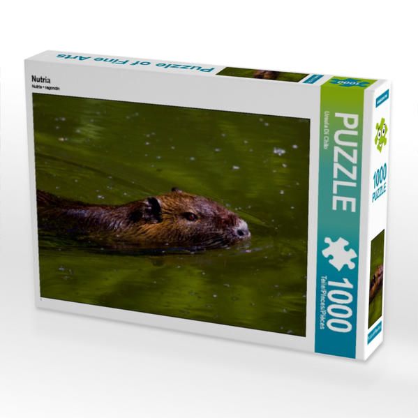 Produktbild: CALVENDO Puzzle Nutria 1000 Teile Lege-Gr&ouml;&szlig;e 64 x 48 cm Foto-Puzzle Bild von Ursula Di Chito