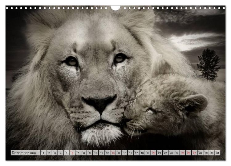 Produktbild: Wilde Tiere in schwarz-wei&szlig; (Wandkalender 2026 DIN A3 quer), CALVENDO Monatskalender