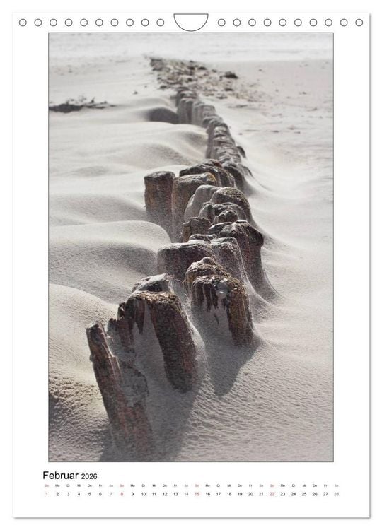 Produktbild: Amrum - Oomram, Kleine Insel - Gro&szlig;e Vielfalt (Wandkalender 2026 DIN A4 hoch), CALVENDO Monatskalender