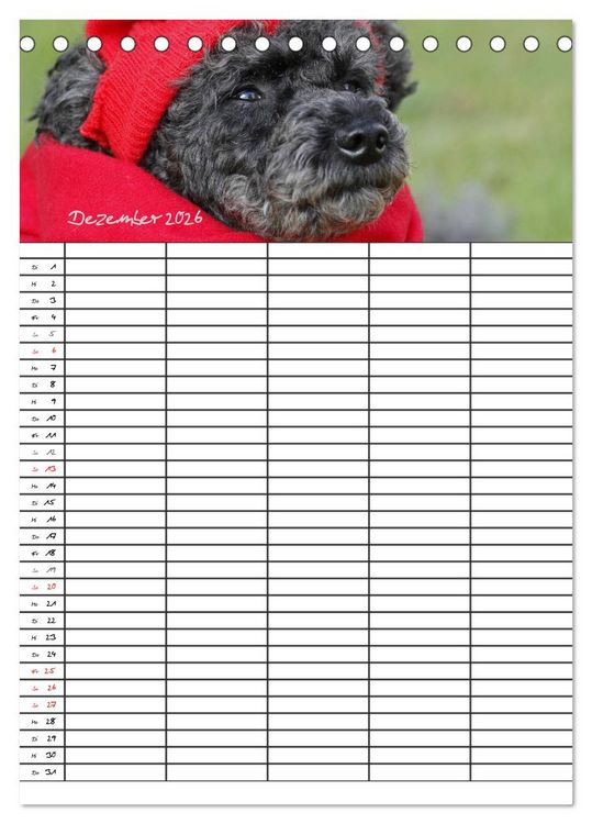 Produktbild: Der Pudel-Familienplaner (Tischkalender 2026 DIN A5 hoch), CALVENDO Monatskalender