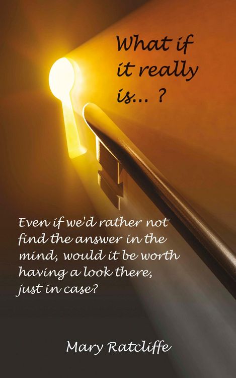 Produktbild: What If It Really Is...?