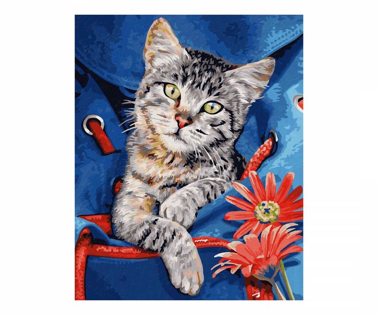 Produktbild: Katze im Rucksack