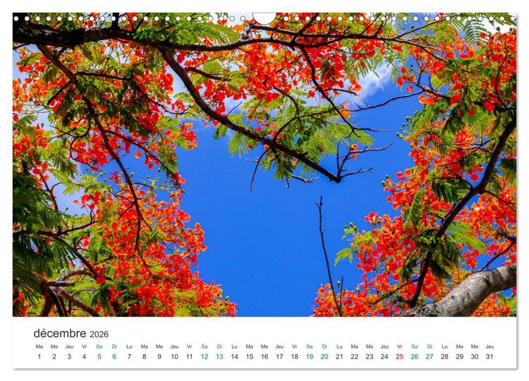 Produktbild: Magnifique &icirc;le Maurice (Calendrier mural 2026 DIN A3 vertical), CALVENDO calendrier mensuel